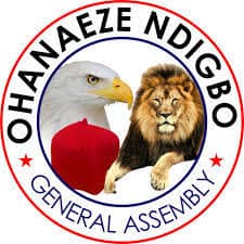 Ohanaeze rejects Onye Nndu, moves to install Eze Ndigbo executives nationwide